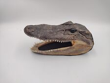 Gator head inch for sale  Ellwood City