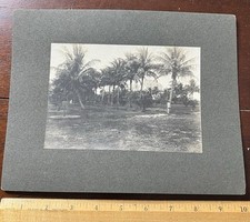 Photo board palm for sale  Meriden