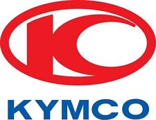 Manuale officina Kymco scooter Agility People S Downtown X-town Ak 550 Like Ecc. na sprzedaż  Wysyłka do Poland