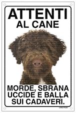 Lagotto attenti cane usato  Vertemate con Minoprio