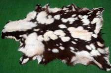 Usado, Novo Tapete de Couro de Cabra Cabelo na Área Tamanho 36"x26" Couro Animal Pele de Cabra G-330 comprar usado Usado, Novo Tapete de Couro de Cabra Cabelo na Área Tamanho 36"x26" Couro Animal Pele de Cabra G-330 comprar usado  Enviando para Brazil