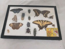 Vintage 1960s entomology for sale  York