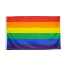 Regenbogen pride flagge gebraucht kaufen  Selters