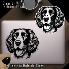 English springer spaniel for sale  Douglasville