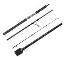 Shimano terez saltwater for sale  Wilsonville