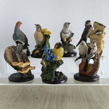 The country bird d'occasion  Saint-Chamas