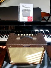 Fender limited edition for sale  Holbrook