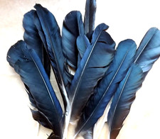 Natural drop raven for sale  ABERDARE
