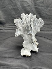 blue ridge coral for sale blue ridge coral for sale San Jose