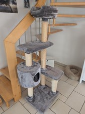 Kratzbaum gebraucht kaufen  Rietberg