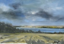 Darren scott original for sale  BARNSTAPLE