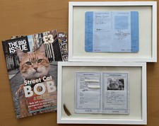Bob, Papiernik oryginalny. brytyjski i francuski.  Karta szczepień + futro od Streetcat Bob, używany na sprzedaż  Wysyłka do Poland