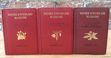 1948 wayside woodland for sale  CARLISLE