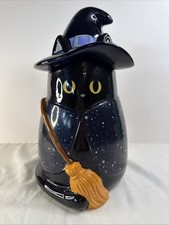 Halloween black witch for sale  Altamonte Springs