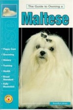 Guide owning maltese for sale  UK