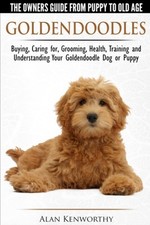 goldendoodles puppy for sale goldendoodles puppy for sale Interlochen