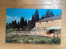 Old postcard tropical for sale  RADSTOCK