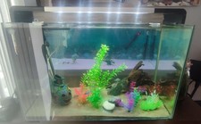 Superfish home aquarium for sale  PETERBOROUGH