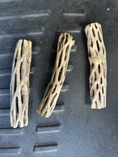 Pieces organic cholla for sale  Pueblo