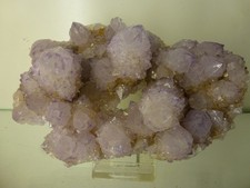 Kaktus amethystquartz südafri gebraucht kaufen  Weiden