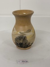 Small boscastle pottery for sale  NORWICH