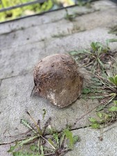 Alter stahlhelm wehrmacht gebraucht kaufen  Bonn