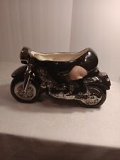 Biker hogs 1999 for sale  Cumby