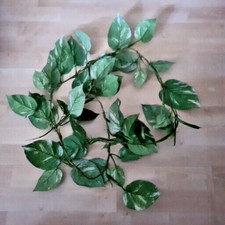Set fake artificial for sale  Torrance