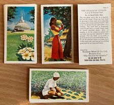 1955 island ceylon for sale  HARROGATE