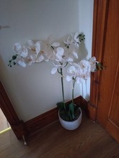 Artificial orchid display for sale  CLEATOR