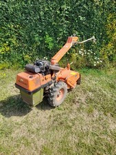 Rare howard dragon for sale  UK
