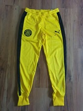 Bvb borussia dortmund gebraucht kaufen  Ketsch
