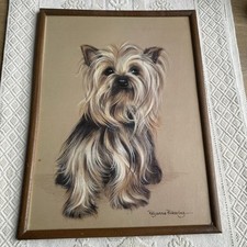 Beautiful yorkshire terrier for sale  HARLOW