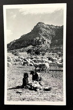 Rppc navajo butchering for sale  Austin