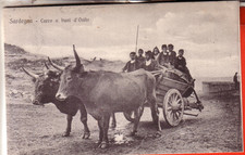 carro buoi usato carro buoi usato  Montegranaro