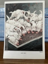 Bonzo print 1922 for sale Bonzo print 1922 for sale  SAWBRIDGEWORTH