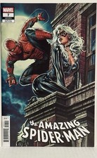 The amazing spider usato  Roma