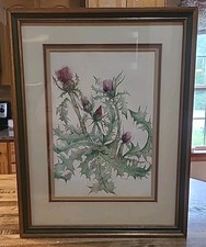 Thistle framed watercolor for sale  Newnan