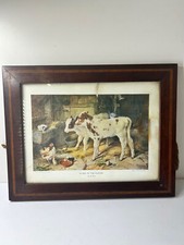Dog manger w. for sale  OKEHAMPTON