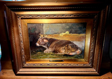 Gino danti mucca usato Gino danti mucca usato  Genova