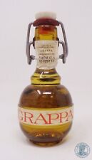Miniature mignon grappa usato  Romano di Lombardia
