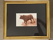 Toro bravo roberto usato  San Giovanni in Marignano
