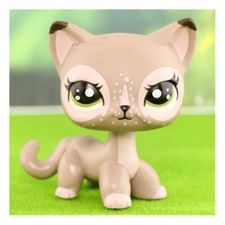 Little pet custom for sale  Las Vegas