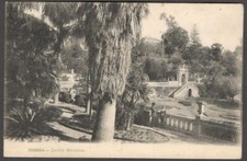 Cartão postal vintage de Portugal COIMBRA-Jardim Botanico comprar usado  Enviando para Brazil