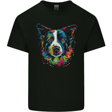 Colourful border collie d'occasion  Expédié en Belgium