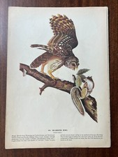 Vintage 1940 audubon for sale  Port Orchard