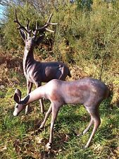Large stag doe for sale  ALTON