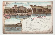 Halle saale 1899 gebraucht kaufen  Wittenberg