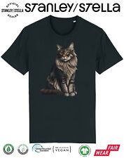 Maine coon cat for sale  PONTYPRIDD