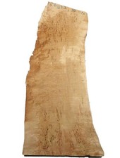 Birke maser holz gebraucht kaufen  Hamburg
